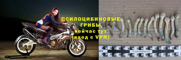 mix Бородино